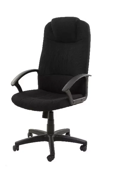 Masterlift highback office chair