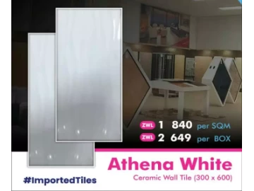 Athena White Ceramic Wall Tile (600x300)