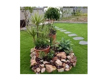 Landscapping Services