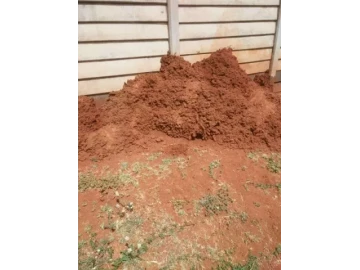Ant hill and ants control services