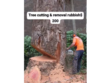 Tree cutting & rubbish removal