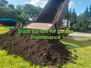 Black treated topsoil