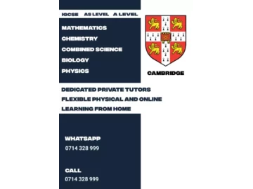 Cambridge Maths/Science IGCSE and ADVANCED Level one on one