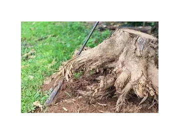 Tree stumping