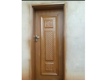Steel doors with doorframes
