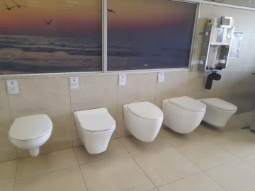 Wall hung toilet suites