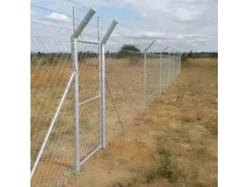 Fence and Razar wire