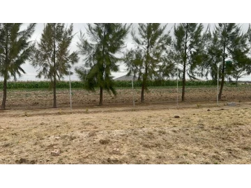 Gweru CBD - Land, Farm & Agricultural Land