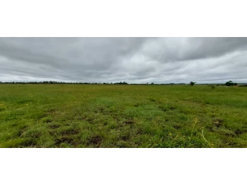 Lynfield - Farm & Agricultural Land