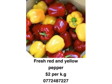 Fresh Red Pepper For Sale