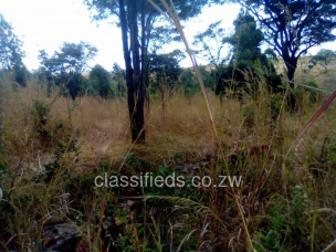 Borrowdale - Land, Commercial & Industrial Land