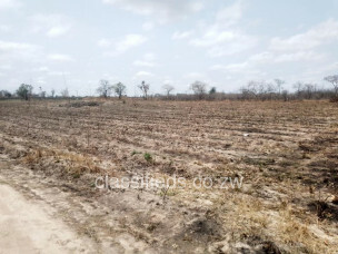 Chegutu - Land, Farm & Agricultural Land