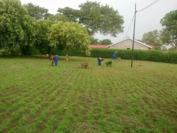 Garden Maintenance and Grass Cutting