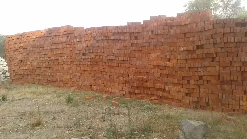 Common bricks for sale