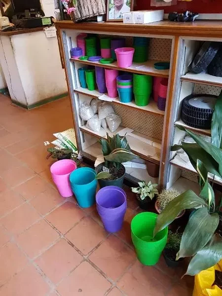 Coloured pots