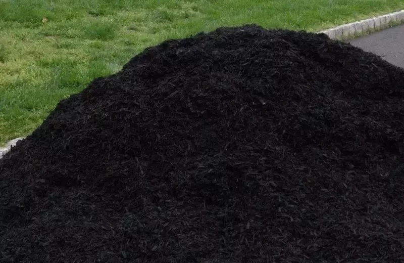Black Top Soil per cubic