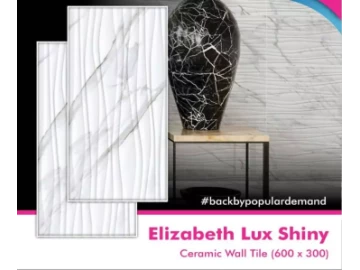 Elizabeth Lux Shiny Ceramic Wall Tile (600x300)
