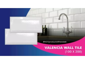 Valencia Wall Tile (100x200)