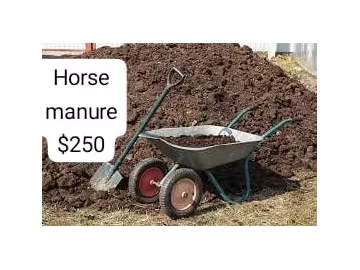 Horse Manure