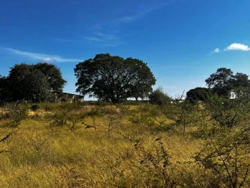 Nketa - Land, Farm & Agricultural Land