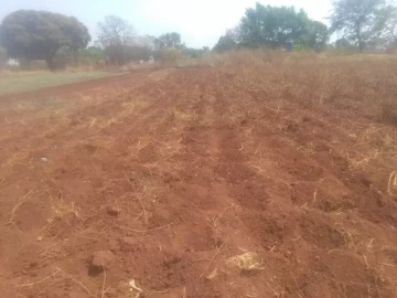 FARMING LAND TO LET, HARARE OUTSKIRTS