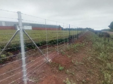 Barded wire fencing