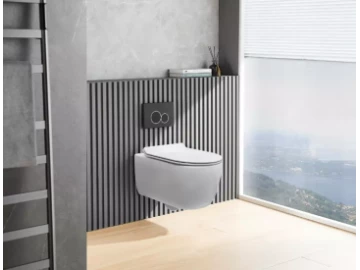 Wall hung toilet seat + concealed cistern + actuator plate