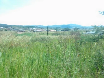 Mazowe - Land, Stands & Residential Land
