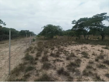 Mvuma - Land, Farm & Agricultural Land