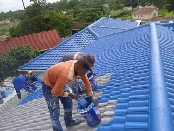 Roof Waterproof & Leak Repairs