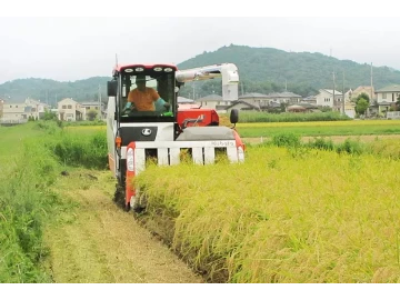 Kubota Combine Harvesters for Sale