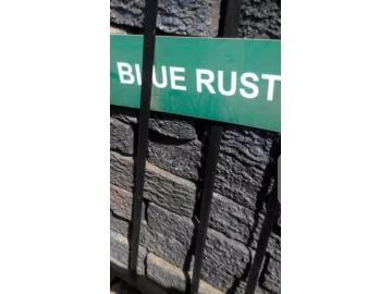 Blue Rustic Bricks