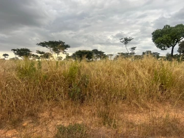 Marondera - Stands & Residential Land