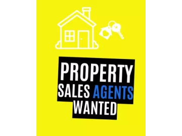 Property Sales Agent