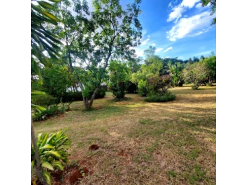 Borrowdale Brooke - Stands & Residential Land